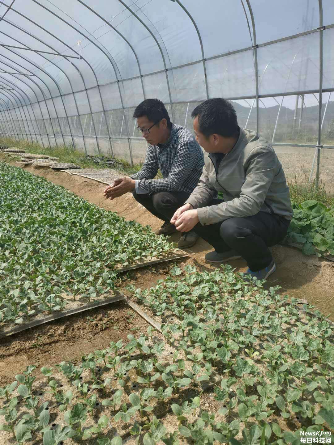 微信图片_20190403092100.jpg
