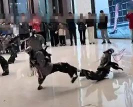 机器人表演武术“回旋踢” 将同伴踹飞二里地