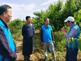 重庆高教老协联合北碚区科协开展早熟桃技术指导科技志愿服务活动